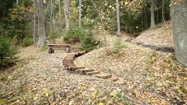 Plostnieku enkurkluči
